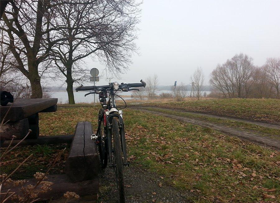 Polder Buków w okolicy Roszkowa