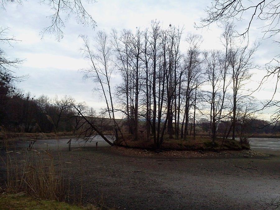 Wyspa na stawie