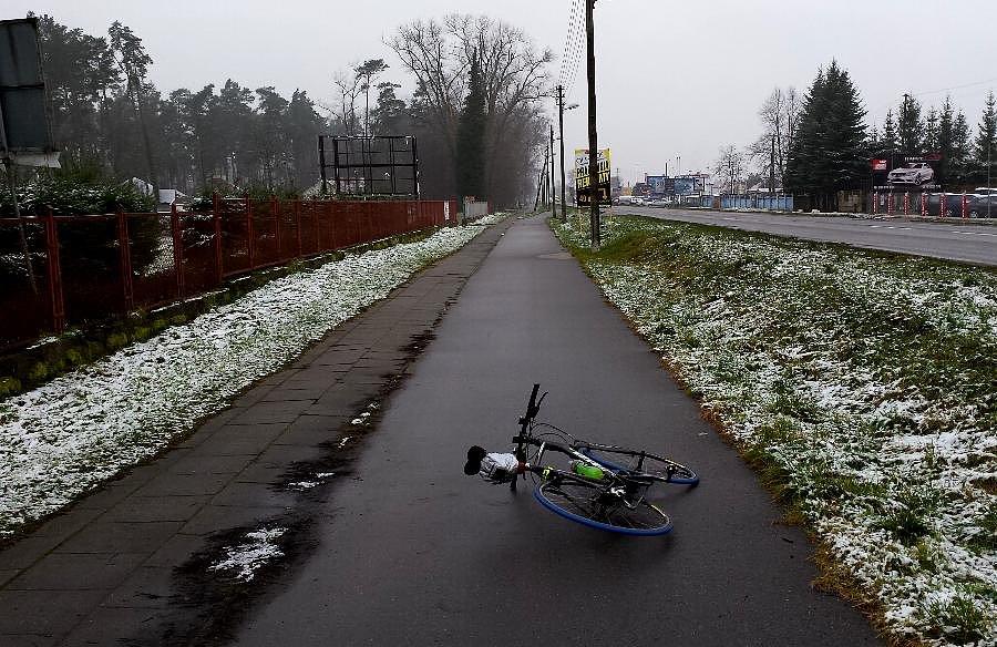 Miał być lis na fotce