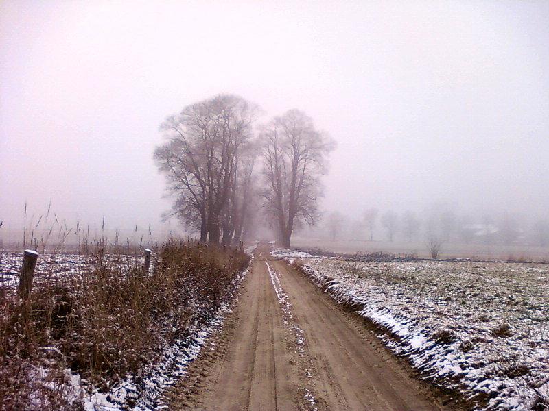 Zamglona polna droga
