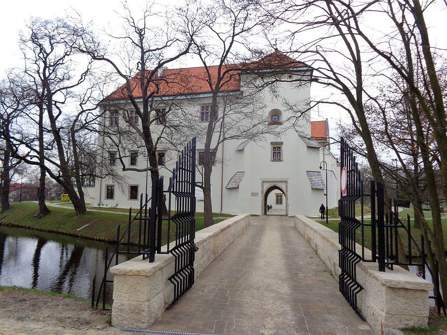 Zamek Szydłowiec