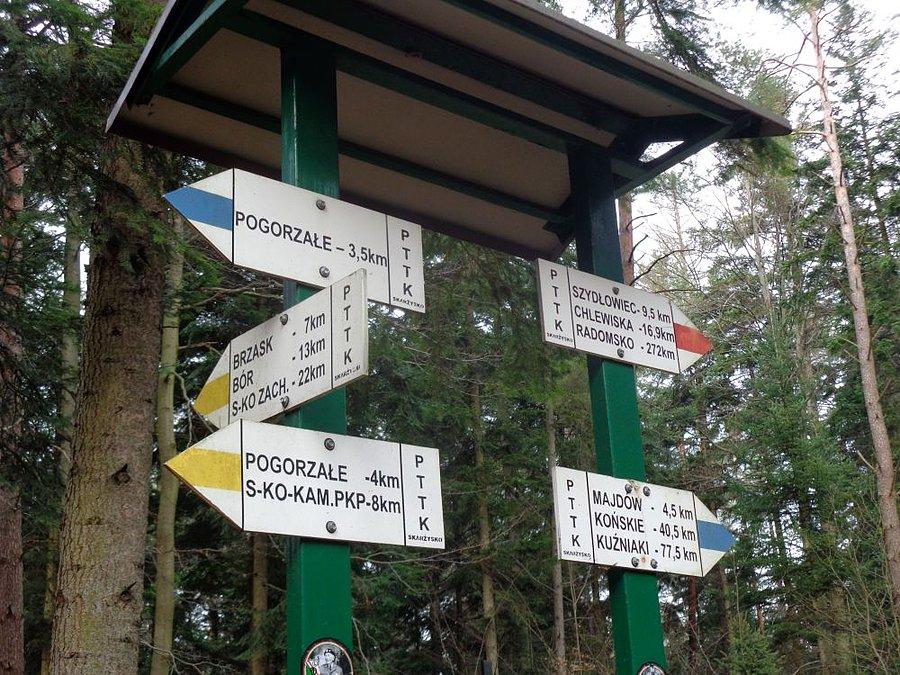 Do Radomska około 300 km..może podziękujemy