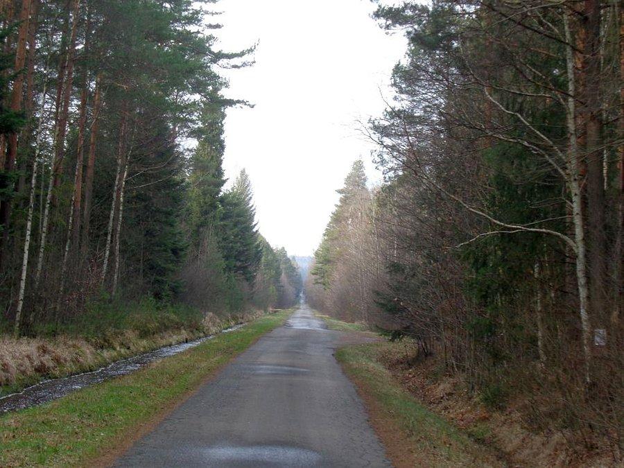 Leśne dukty