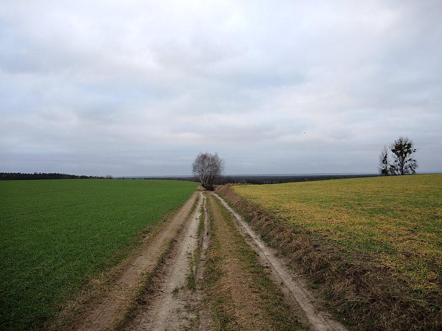W stronę "Błotka"