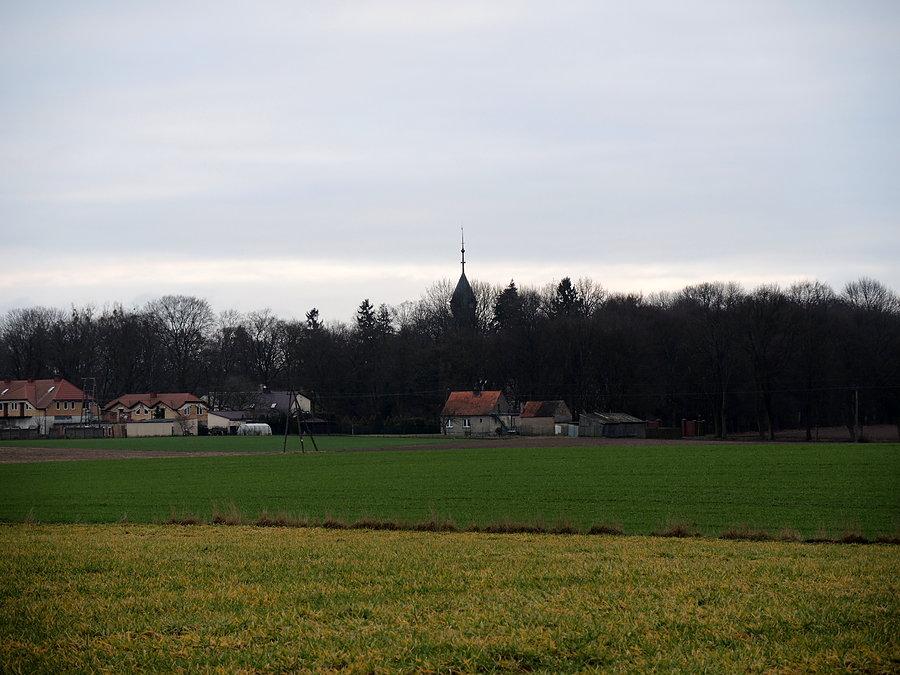 Widok na Kruszewo
