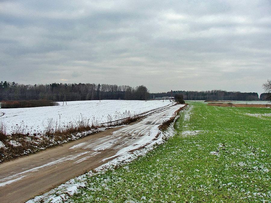 Wzdłuż Doliny Nogatu, szlakiem rowerowym Powiśla