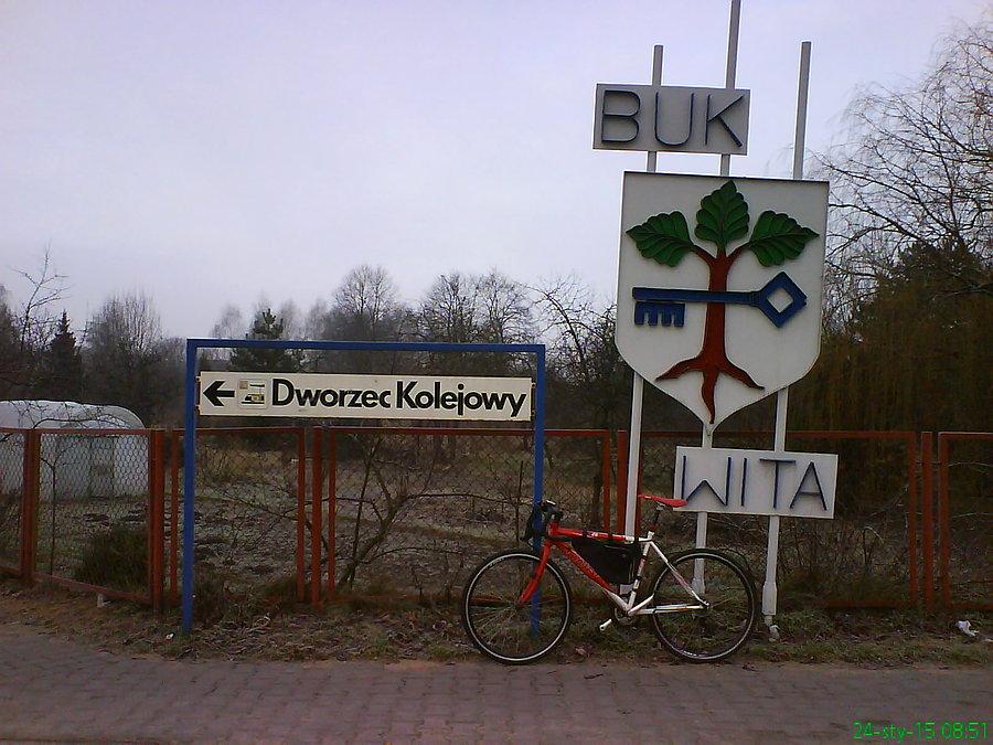Buk istnieje - jeden z dowodów