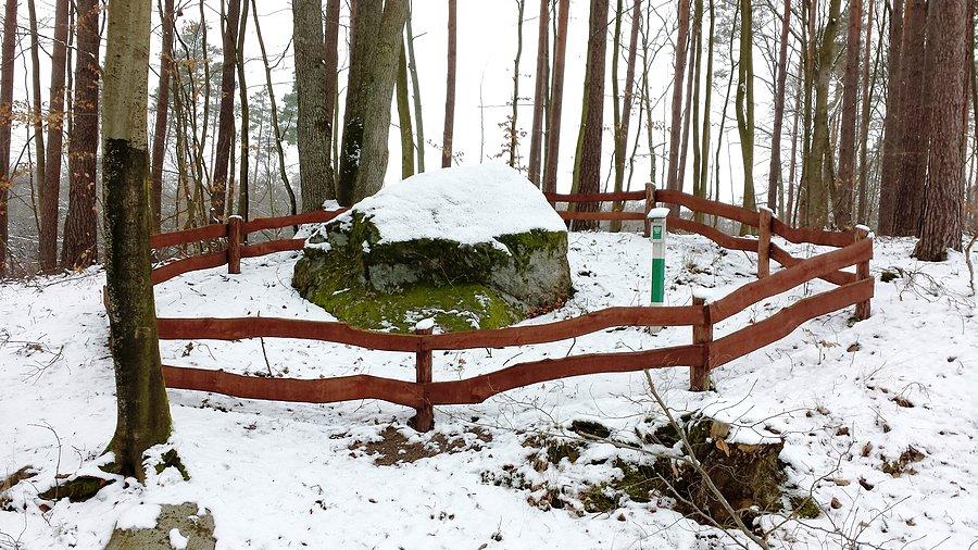 Kamień w lesie - pomnik przyrody