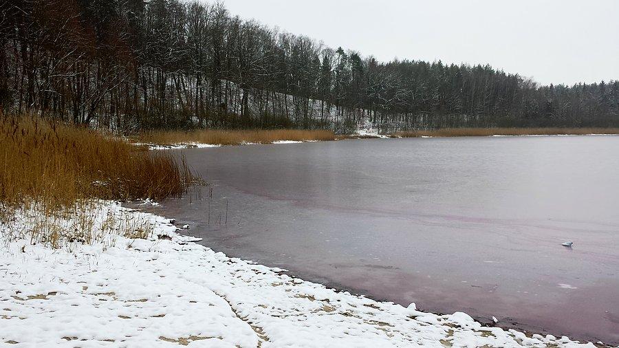 Borówno Mł. - a takie było ładne jeziorko