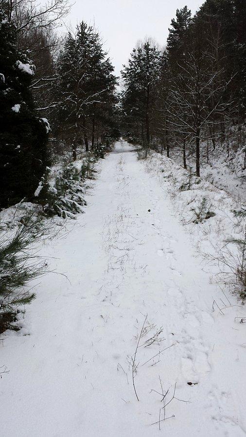 Dawny nasyp kolejowy Skarszewy-Starogard