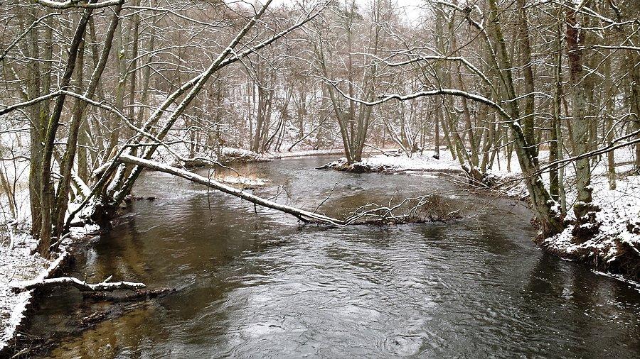 Wierzyca