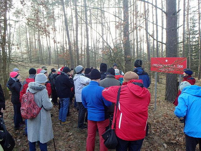 Na terenie Obszaru Natura 2000 Krzewiny