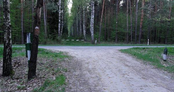 Koniec leśnego odcinka