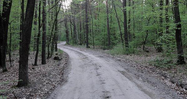 Ciekawe kiedy zakończą wszystkie prace nad tym projektem