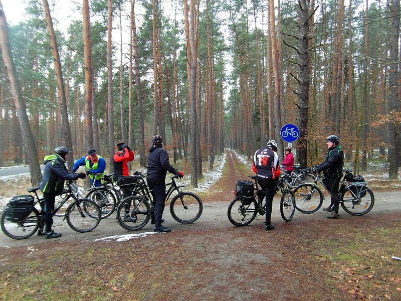 Droga rowerowa w lesie