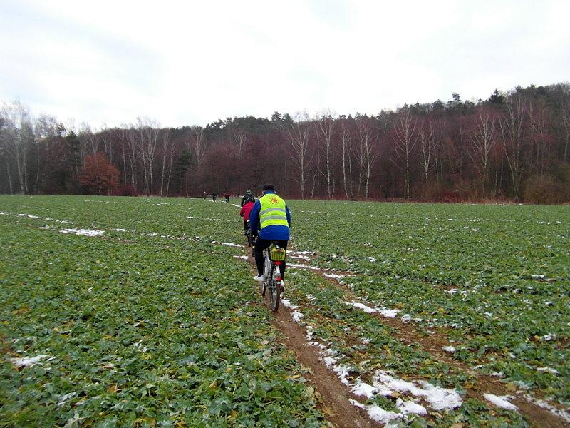 Przez pola