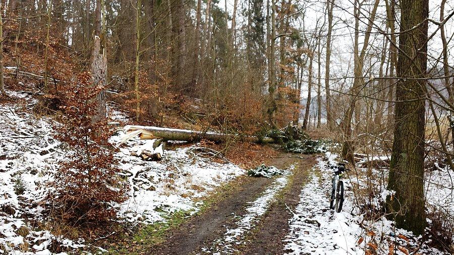 Widok w całości
