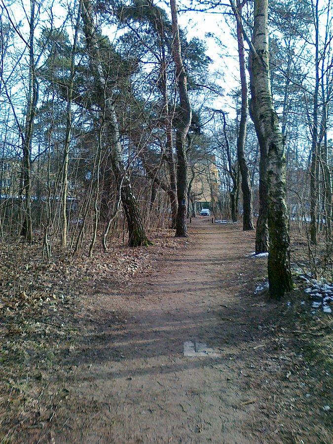Leśna ścieżka rowerowa