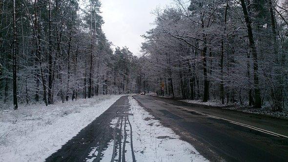 Ścieżka rowerowa w lesie