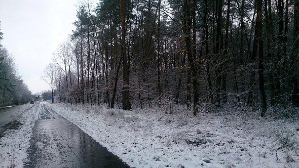 Mokre asfalty w Zemborzycach