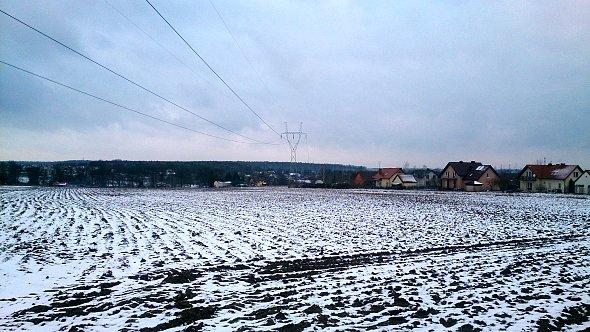 Pola w Dominowie