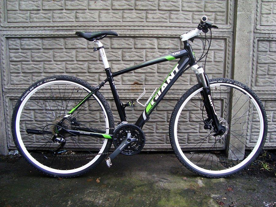 Giant Roam 2