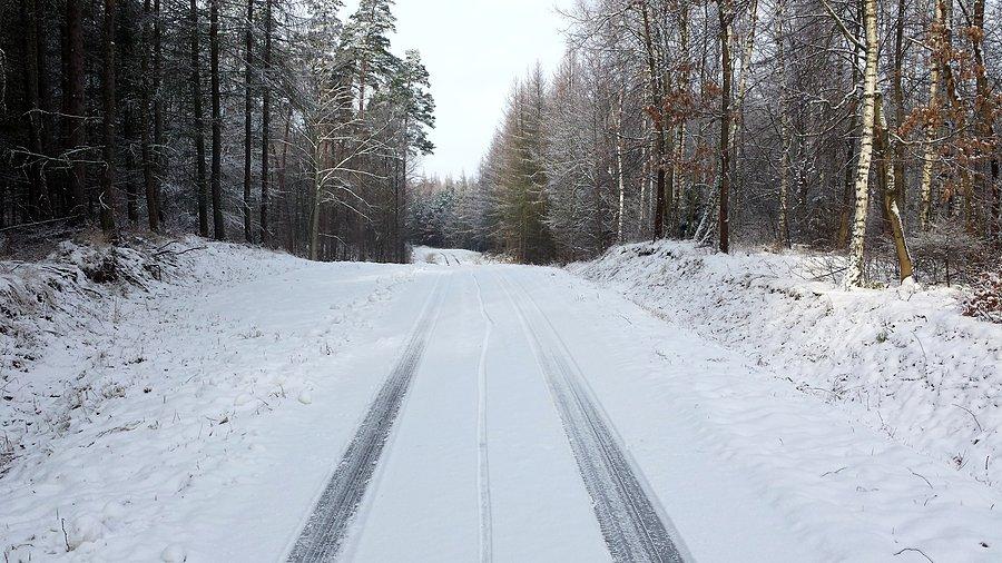 Stąd przyjechałem