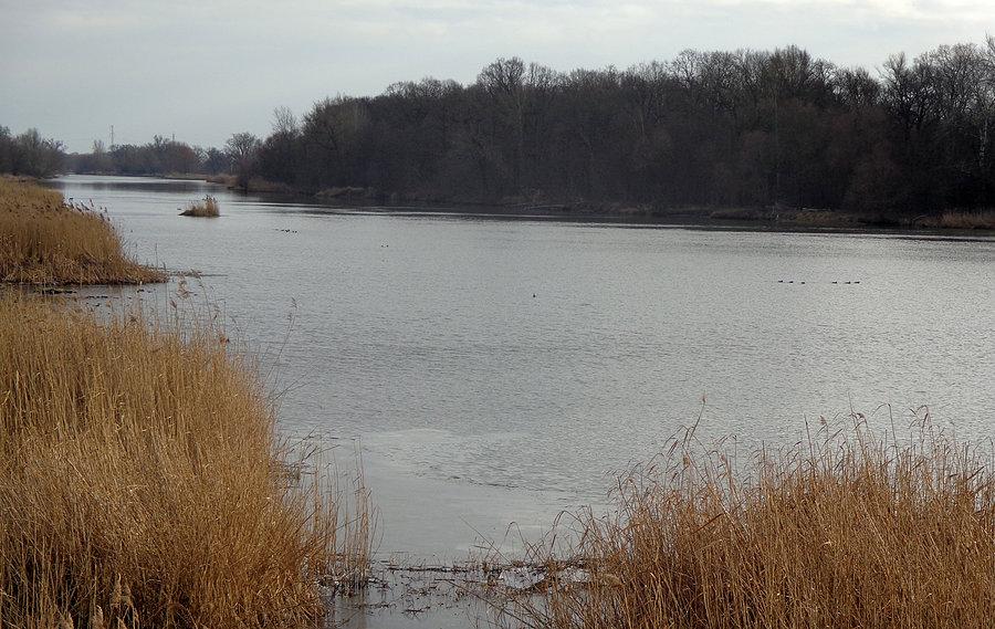 Styczniowa Odra