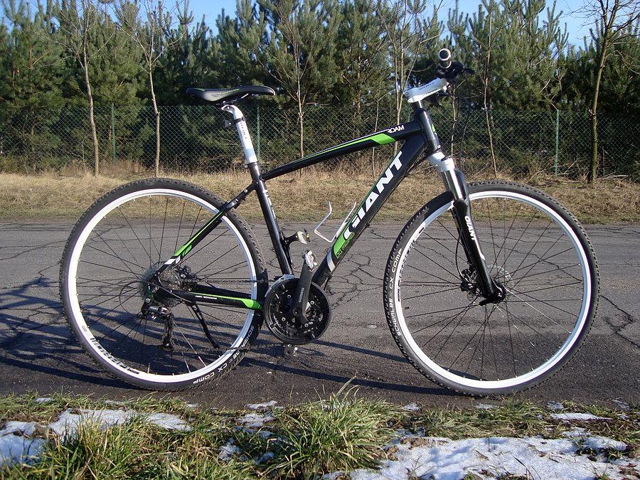Giant Roam 2