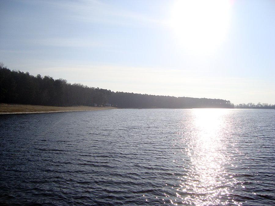Jezioro w Gołuchowie