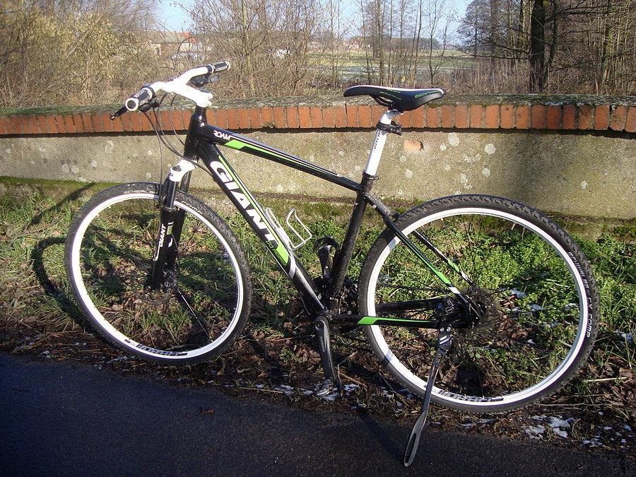 Giant Roam 2