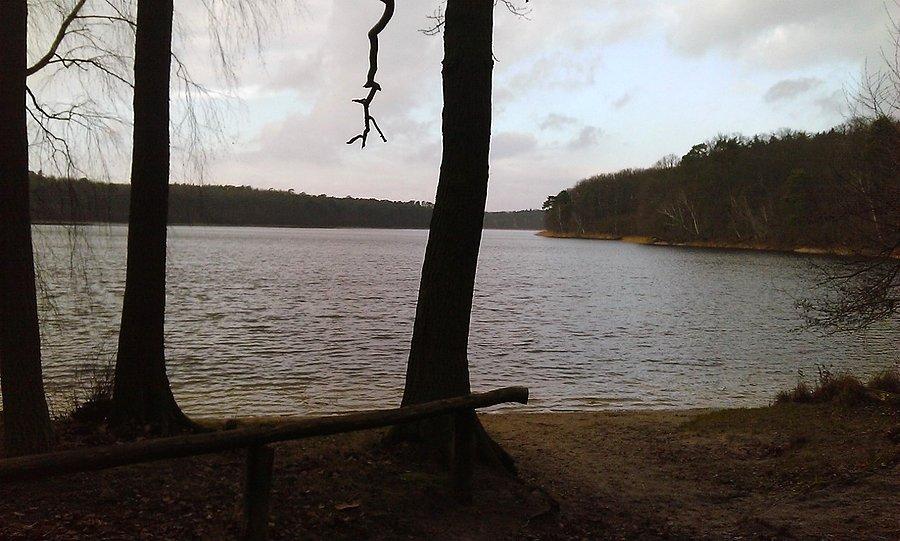 "Plaża" nad Góreckim