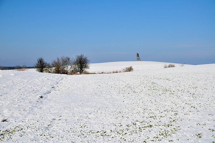Gdzieś między Boroszewem a Siwiałką