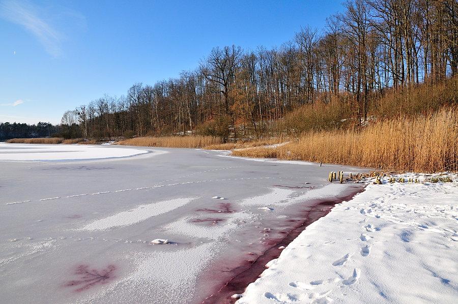 Jezioro Borówno Małe