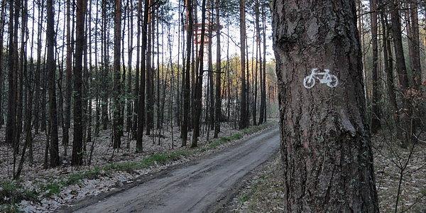 Między drzewami kryje się wieża AVIA