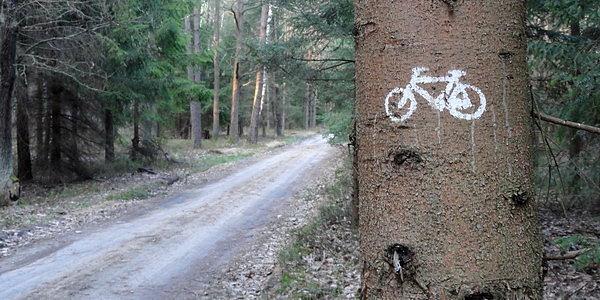 Leśny szlak rowerowy z Wólki Plebańskiej do Czosnówki