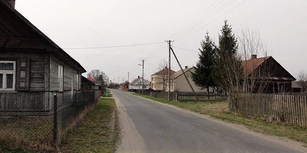 Klonownica Duża