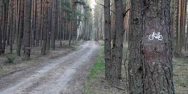 Stanie się on wkrótce częścią żółtego szlaku rowerowego z Czosnówki do Krasówki