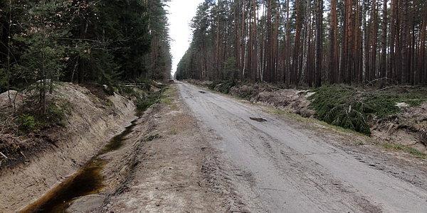 Kopią rowy, coś majstrują