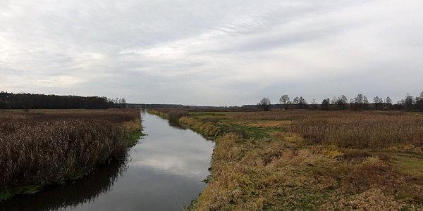 Widok z mostu w Styrzyńcu na dolinę rzeki Krzna w dzień