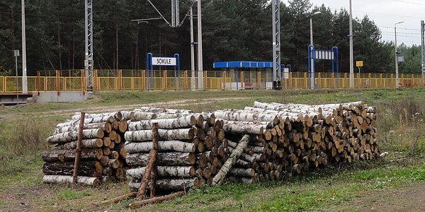 Stacja kolejowa Sokule
