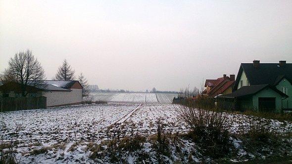 Pola w Krebsówce