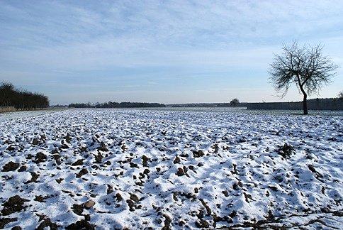 Zimowe pole tuż obok lotniska wojskowego na Nowym Glinniku