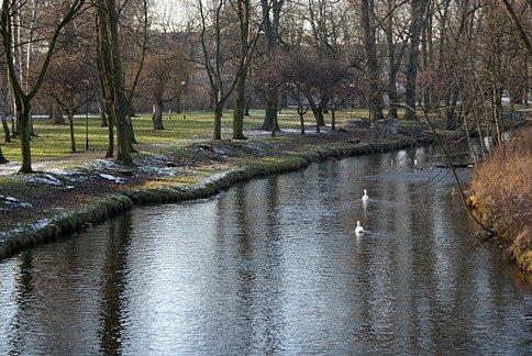 Żegnam się z dwoma łabędziami, tym razem stojąc na moście, a chciało się żec z bocianami ;)