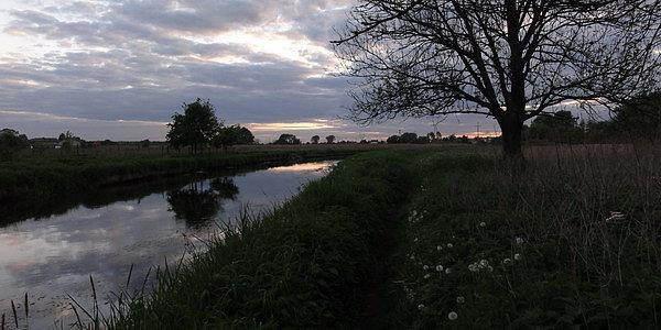 Ścieżka nad rzeką Krzna w stronę Parku Radziwiłłowskiego