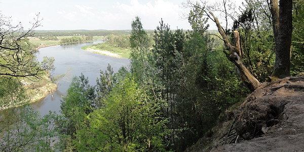 Punkt widokowy w Gnojnie. Trzydziestometrowa skarpa nad zakolem Bugu