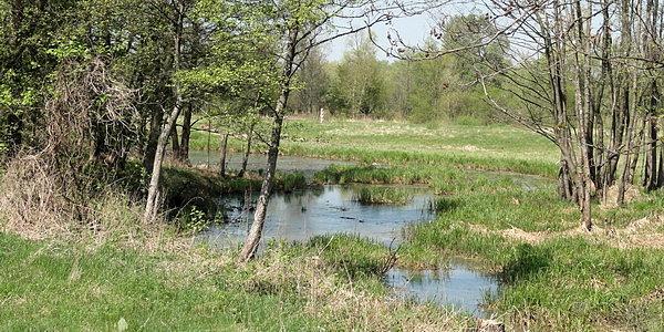 Słupek graniczny nr 1333