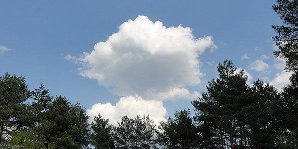 Przy Łukaszowym grillu