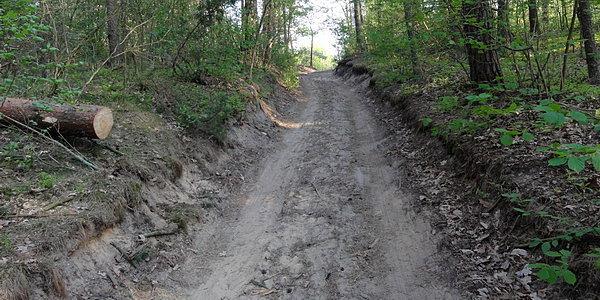 Podjazd od stanicy harcerskiej