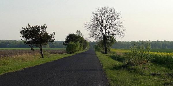 Trakt Gnojeński